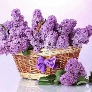 Diamond Painting Kits for Adults, 5D Full Drill Diamond 30/40 Cm